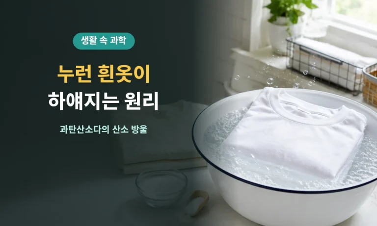 과탄산소다를 푼 물에서 누런 흰옷이 밝아지는 산소계 표백 과정