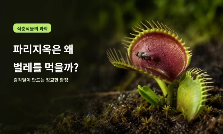 감각털을 건드린 곤충을 잡으려는 파리지옥의 함정을 확대한 모습